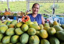 ADS divulga cronograma das Feiras de Produtos Regionais desta semana, com edição especial no Parque Rio Negro