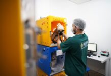 HPVet-AM alcança mais de 33 mil animais atendidos e reforça importância da saúde animal no Amazonas