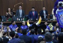 Governo do Amazonas participa de homenagem ao Festival Folclórico de Parintins na Aleam