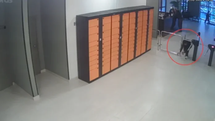 6_785867