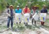Em Nova Olinda do Norte, Idam faz demonstração de métodos com a aplicação de calcário no cultivo de açaí