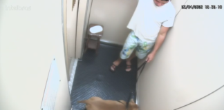 Homem é indiciado por matar o próprio cachorro afogado na praia de Copacabana