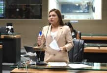 Amazonas avança na proteção de mulheres e animais com aprovação da Semana Estadual da Teoria do Elo