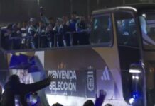 Sem Messi, Argentina tem desfile em carro aberto ao chegar do vice na Copa
