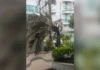 Ventos fortes provocam duas mortes e deixam pescador desaparecido no Rio de Janeiro
