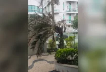 Ventos fortes provocam duas mortes e deixam pescador desaparecido no Rio de Janeiro
