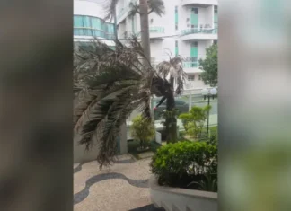 Ventos fortes provocam duas mortes e deixam pescador desaparecido no Rio de Janeiro