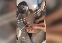 Bebê é resgatado com vida de escombros após terremoto na Colômbia