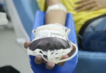 Novas regras mudam critérios para doação de sangue; entenda