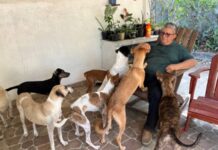 Vacinadores seguem com imunização de cães e gatos contra raiva nos bairros de Manaus