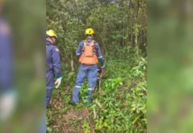 Bombeiros encontram corpo de homem desaparecido em área de mata em Florianópolis