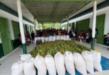 PAA Indígena entrega mais de 3 toneladas de alimentos em Eirunepé