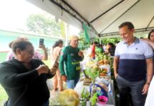 Lei de Adjuto Afonso combate insegurança alimentar de famílias amazonenses
