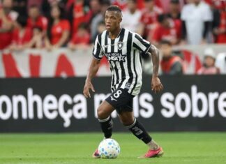 Danilo Santos, do Botafogo, tem dores musculares e desfalca a equipe