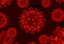 França registra primeiro caso de infecção humana pelo vírus Shamonda